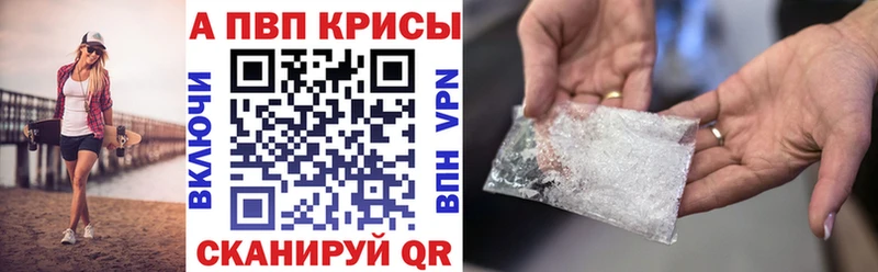 Альфа ПВП СК КРИС  Беслан 