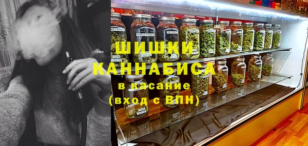 мдпв Михайловск