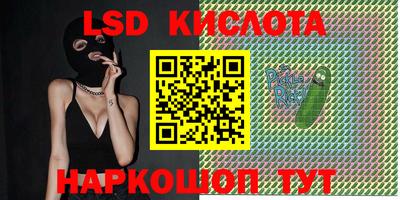 шишки Бийск