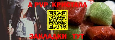 шишки Аргун