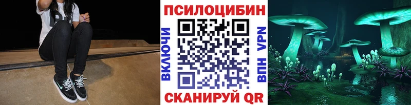 купить закладку  Беслан  Галлюциногенные грибы MAGIC MUSHROOMS 