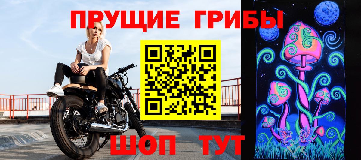Галлюциногенные грибы MAGIC MUSHROOMS  Вход с VPN  Беслан 